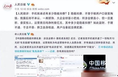 吃瓜群众账单,消费背后的秘密与反思