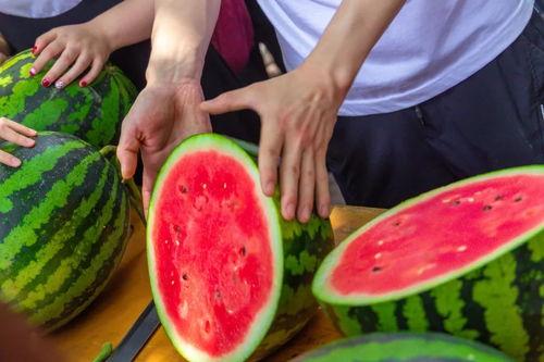 各个学校吃瓜事件,揭秘各大高校吃瓜事件背后的真相