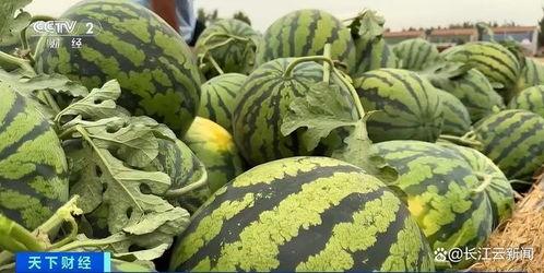 全网都吃的瓜,揭秘那些让人欲罢不能的“瓜”