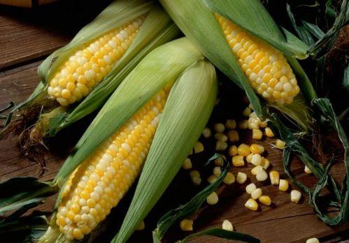 顺德玉米吃瓜,甜蜜瓜果，品味田园生活新风尚