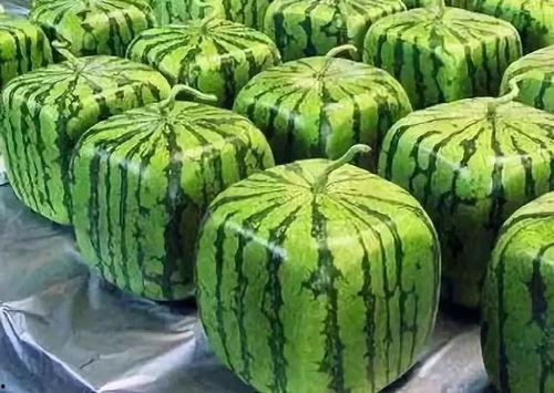 吃瓜直播间来源,带你走进热门话题背后的真相