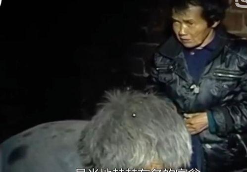 罗伊德和约儿吃瓜,瓜田奇遇记