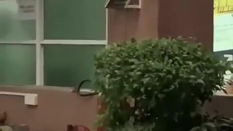 吃瓜news,揭秘娱乐圈幕后故事