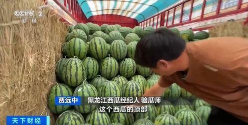 泡泡大型吃瓜现场,揭秘娱乐圈幕后风云