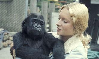 吃瓜女人像猩猩